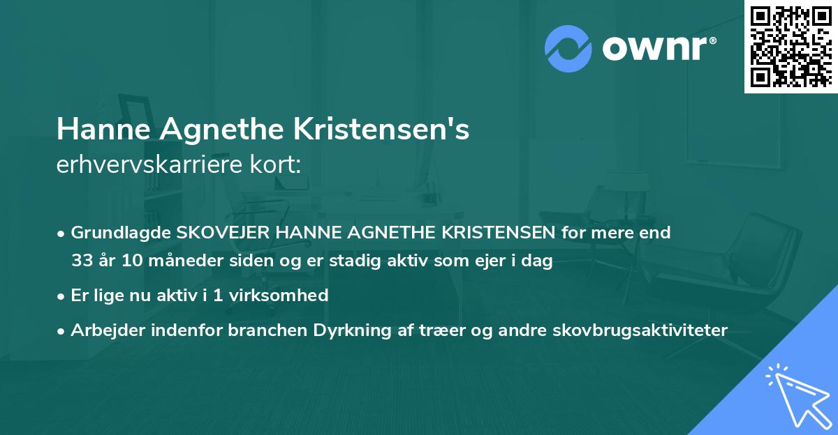 Hanne Agnethe Kristensen's erhvervskarriere kort