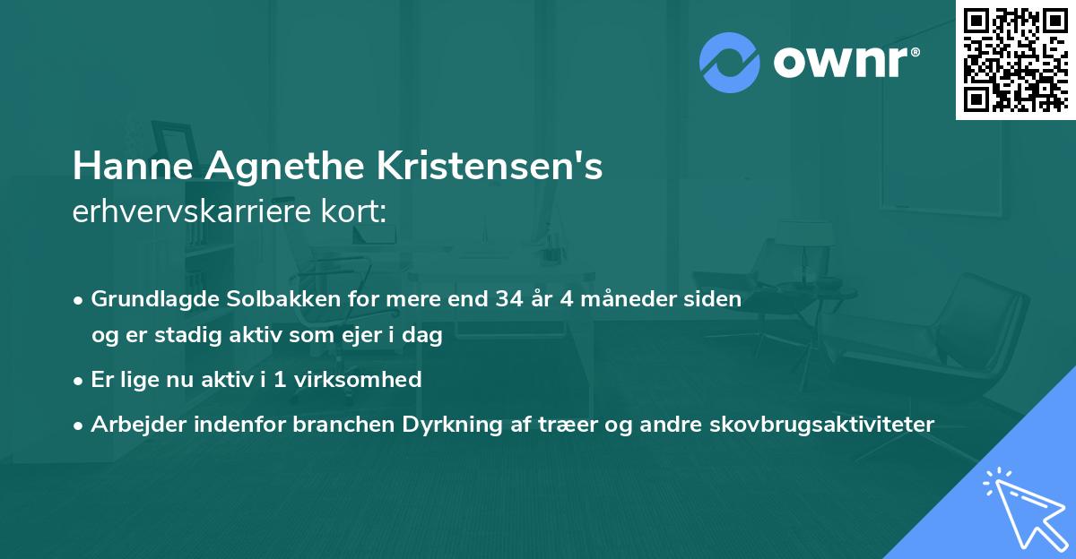 Hanne Agnethe Kristensen's erhvervskarriere kort