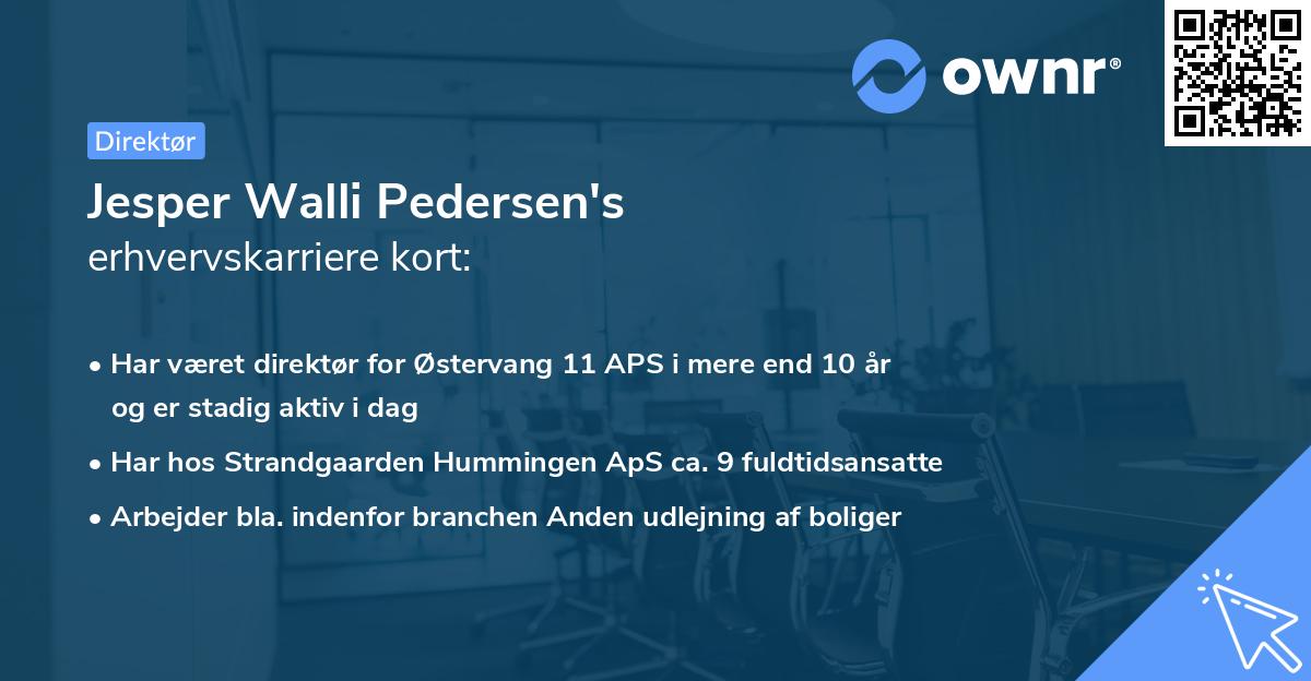 Jesper Walli Pedersen's erhvervskarriere kort