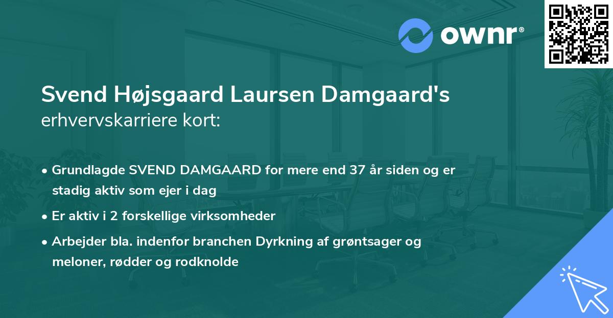 Svend Højsgaard Laursen Damgaard's erhvervskarriere kort