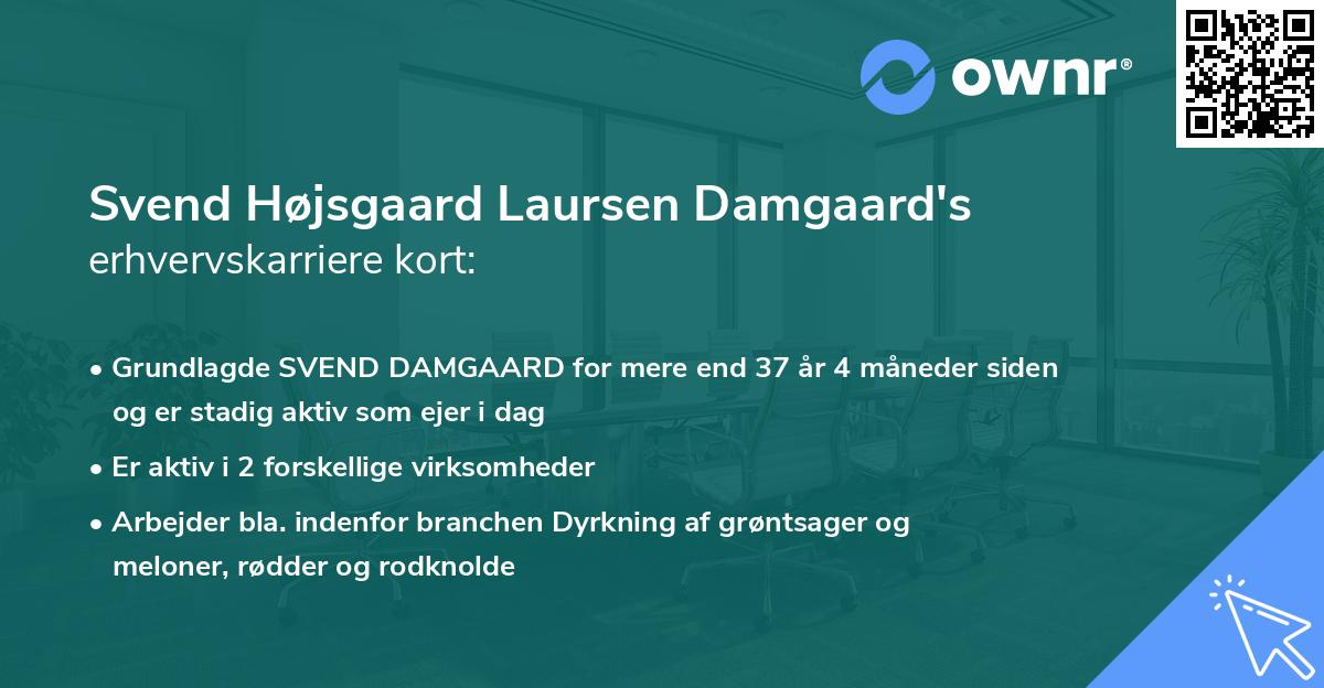 Svend Højsgaard Laursen Damgaard's erhvervskarriere kort