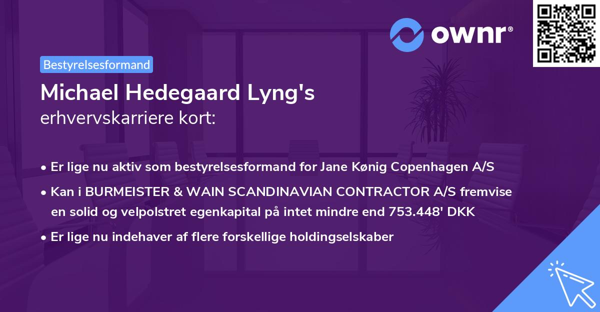 Michael Hedegaard Lyng's erhvervskarriere kort