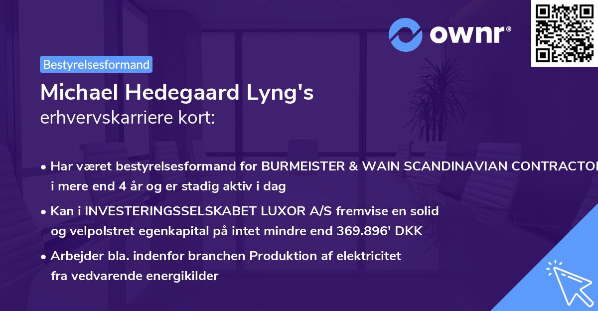Michael Hedegaard Lyng's erhvervskarriere kort