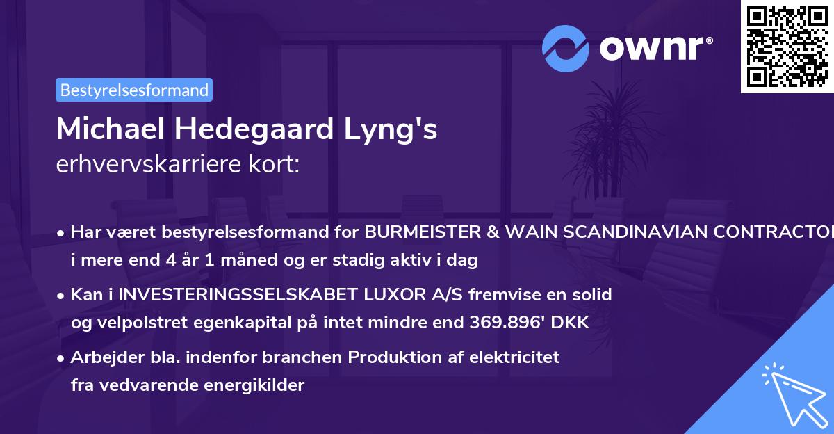 Michael Hedegaard Lyng's erhvervskarriere kort