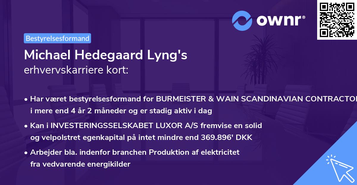 Michael Hedegaard Lyng's erhvervskarriere kort