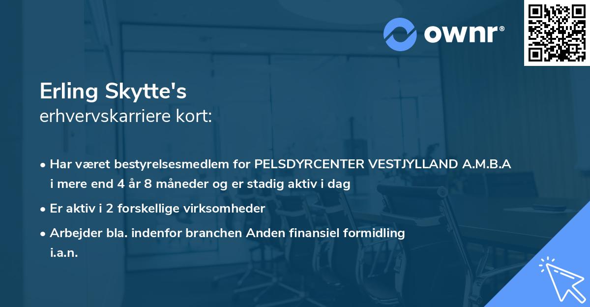 Erling Skytte's erhvervskarriere kort