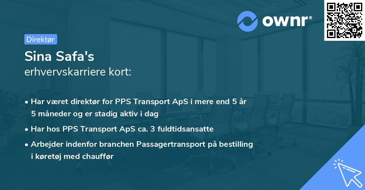 Sina Safa's erhvervskarriere kort