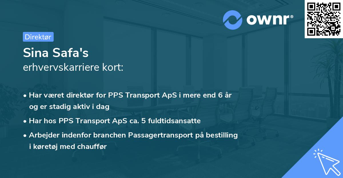 Sina Safa's erhvervskarriere kort