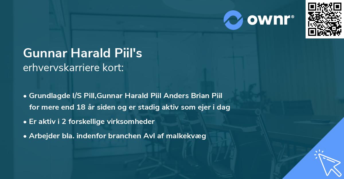 Gunnar Harald Piil's erhvervskarriere kort