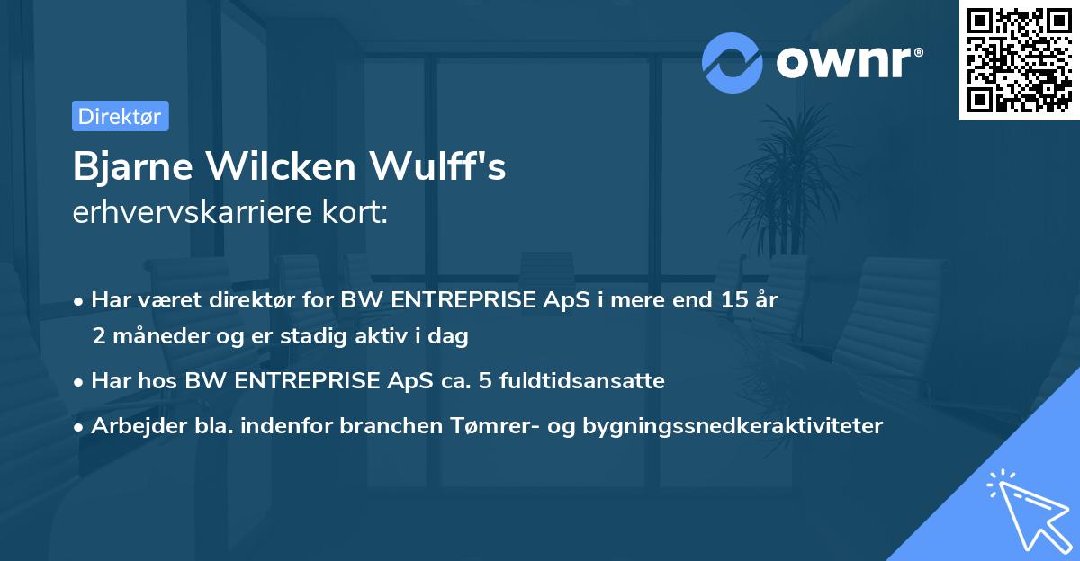 Bjarne Wilcken Wulff's erhvervskarriere kort