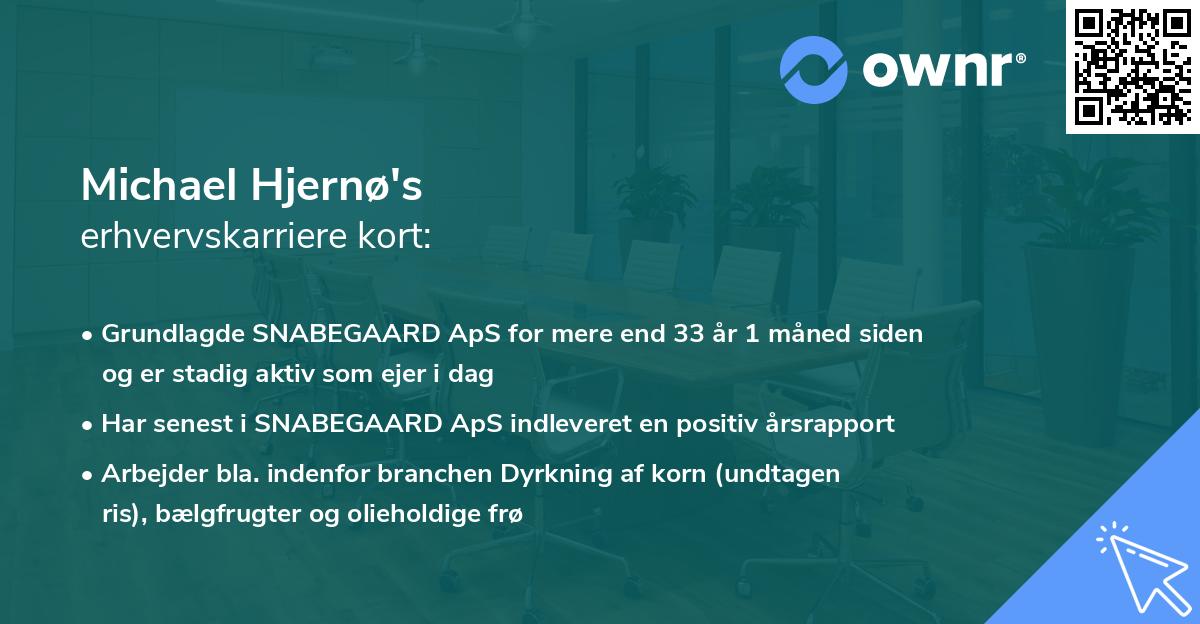 Michael Hjernø's erhvervskarriere kort