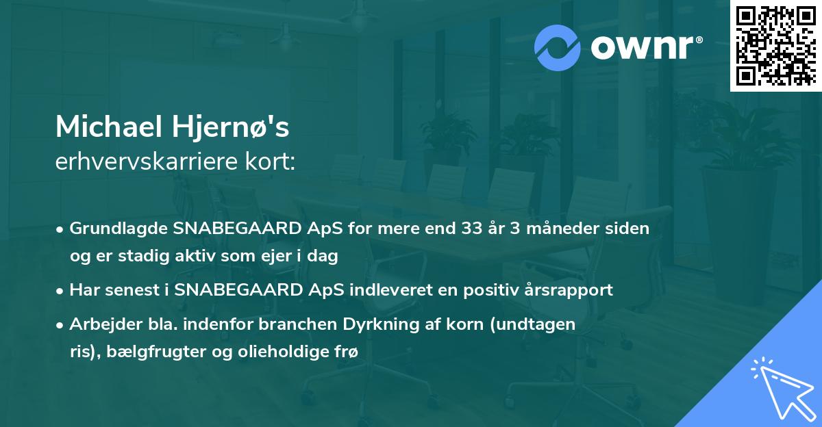 Michael Hjernø's erhvervskarriere kort