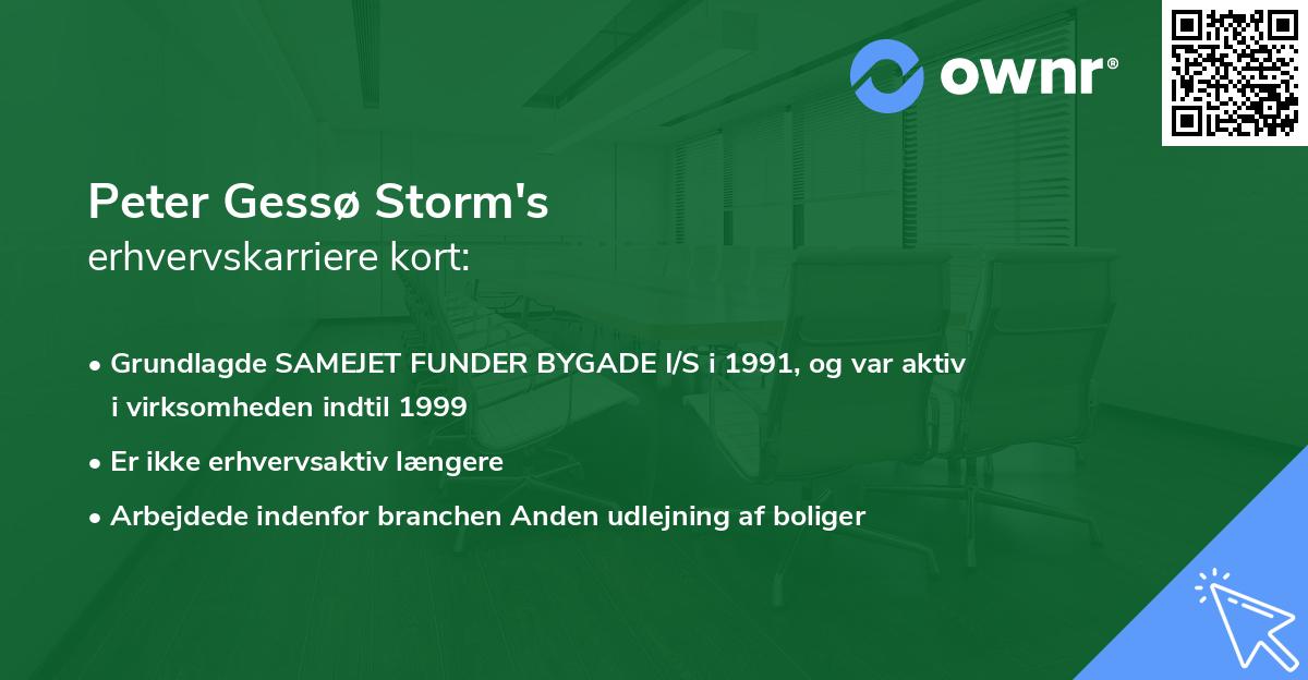 Peter Gessø Storm's erhvervskarriere kort