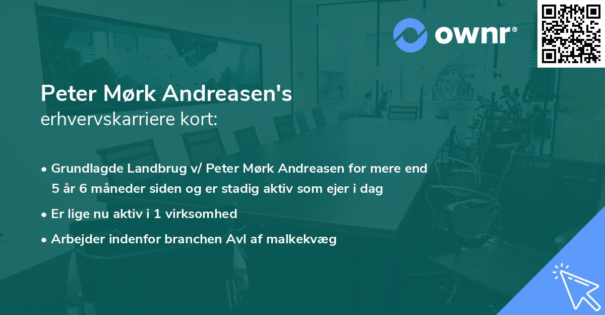 Peter Mørk Andreasen's erhvervskarriere kort
