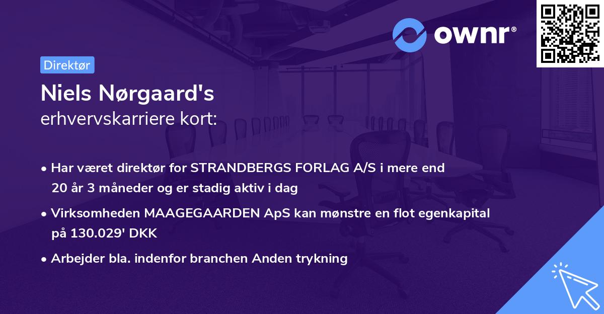 Niels Nørgaard's erhvervskarriere kort
