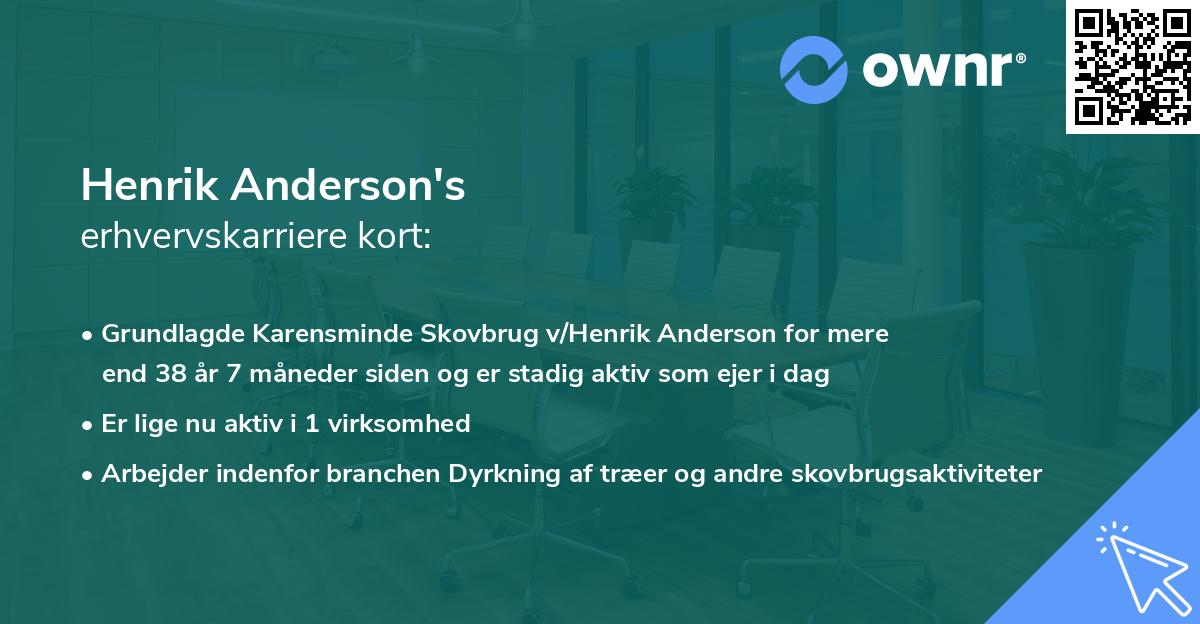 Henrik Anderson's erhvervskarriere kort