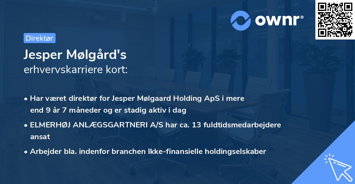 Jesper Mølgård's erhvervskarriere kort