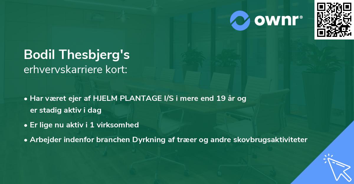 Bodil Thesbjerg's erhvervskarriere kort
