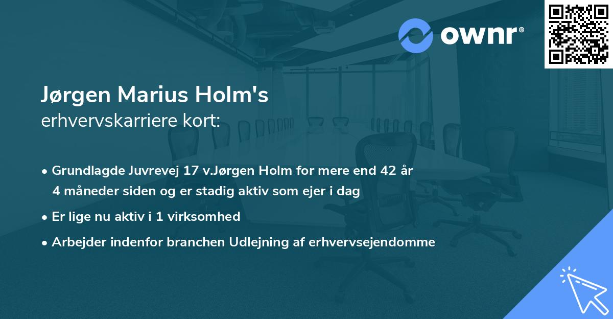 Jørgen Marius Holm's erhvervskarriere kort