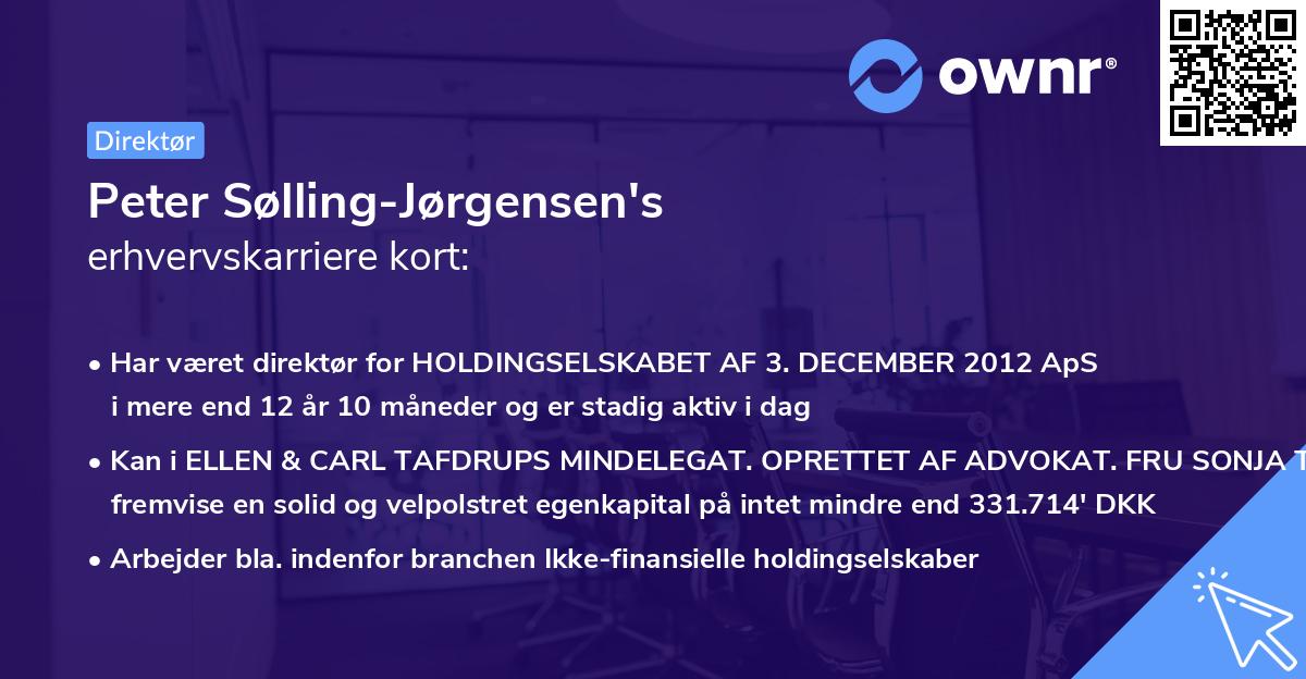 Peter Sølling-Jørgensen's erhvervskarriere kort