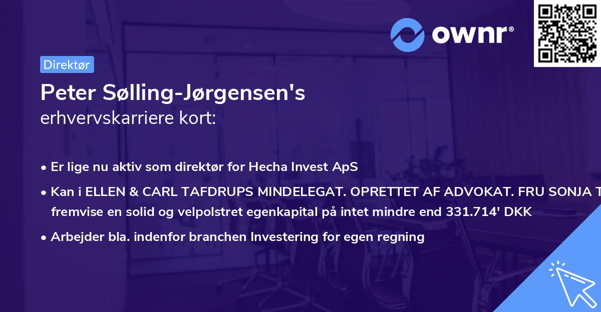 Peter Sølling-Jørgensen's erhvervskarriere kort