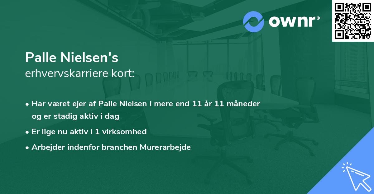 Palle Nielsen's erhvervskarriere kort