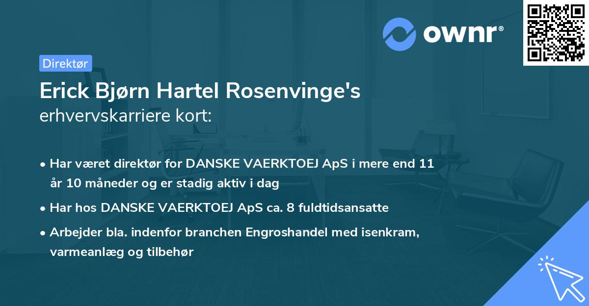 Erick Bjørn Hartel Rosenvinge's erhvervskarriere kort