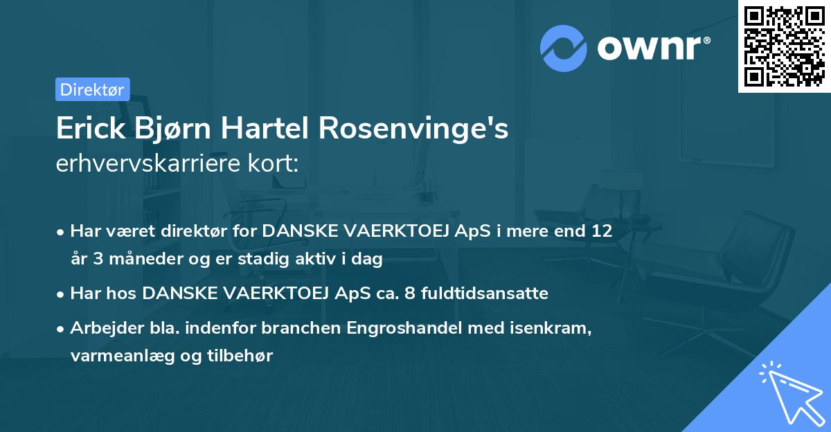 Erick Bjørn Hartel Rosenvinge's erhvervskarriere kort