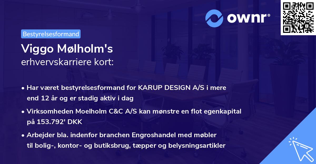 Viggo Mølholm's erhvervskarriere kort