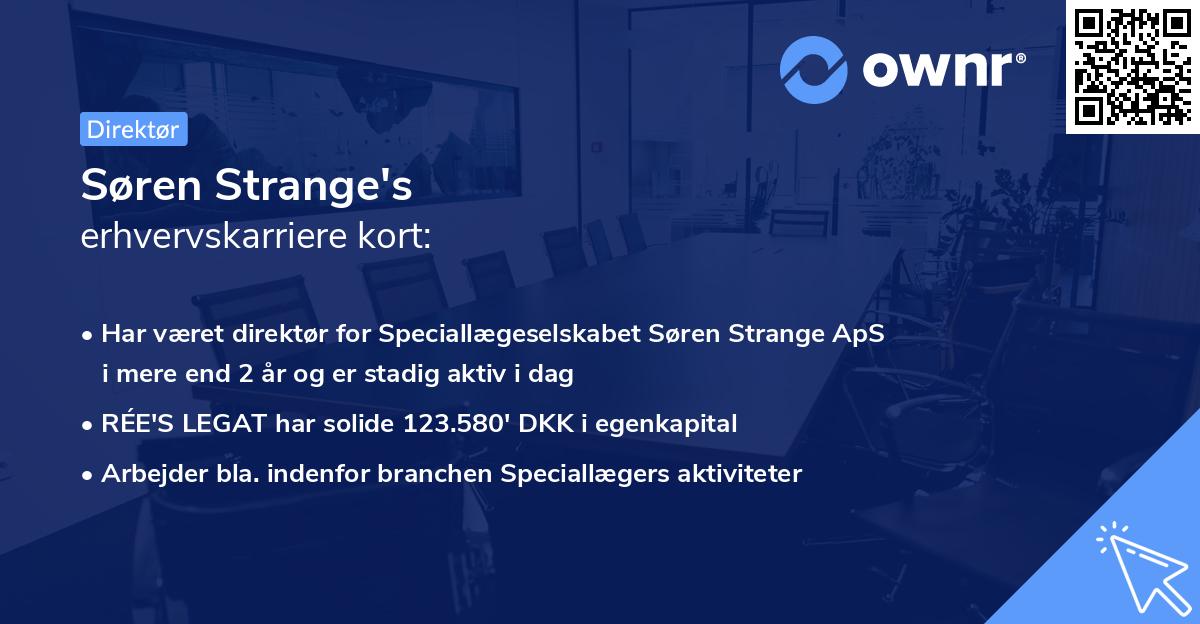 Søren Strange's erhvervskarriere kort