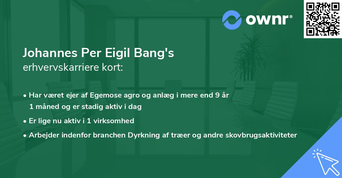 Johannes Per Eigil Bang's erhvervskarriere kort