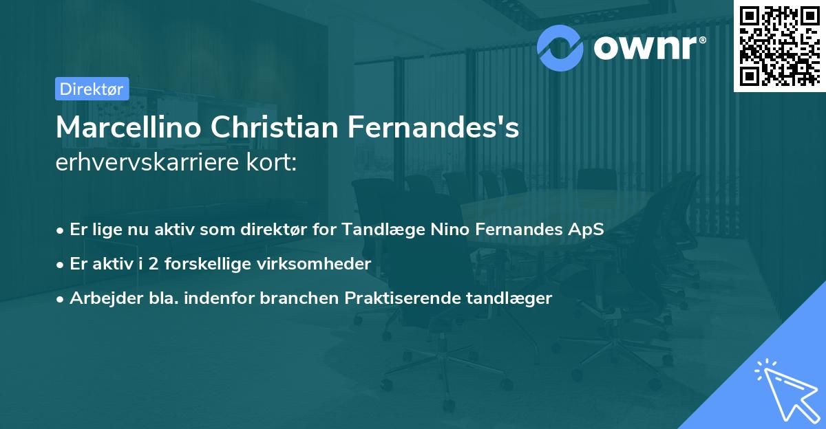 Marcellino Christian Fernandes's erhvervskarriere kort