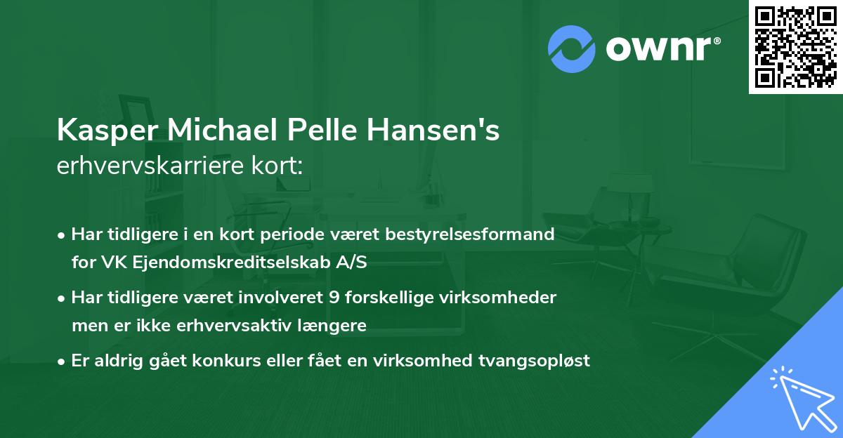 Kasper Michael Pelle Hansen's erhvervskarriere kort