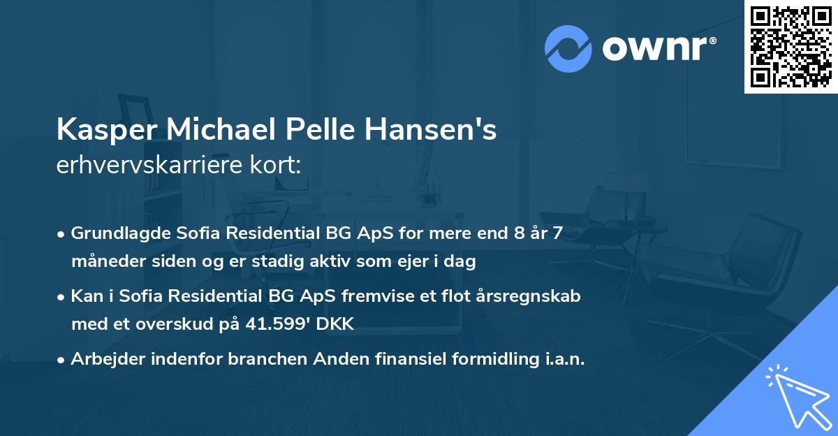 Kasper Michael Pelle Hansen's erhvervskarriere kort