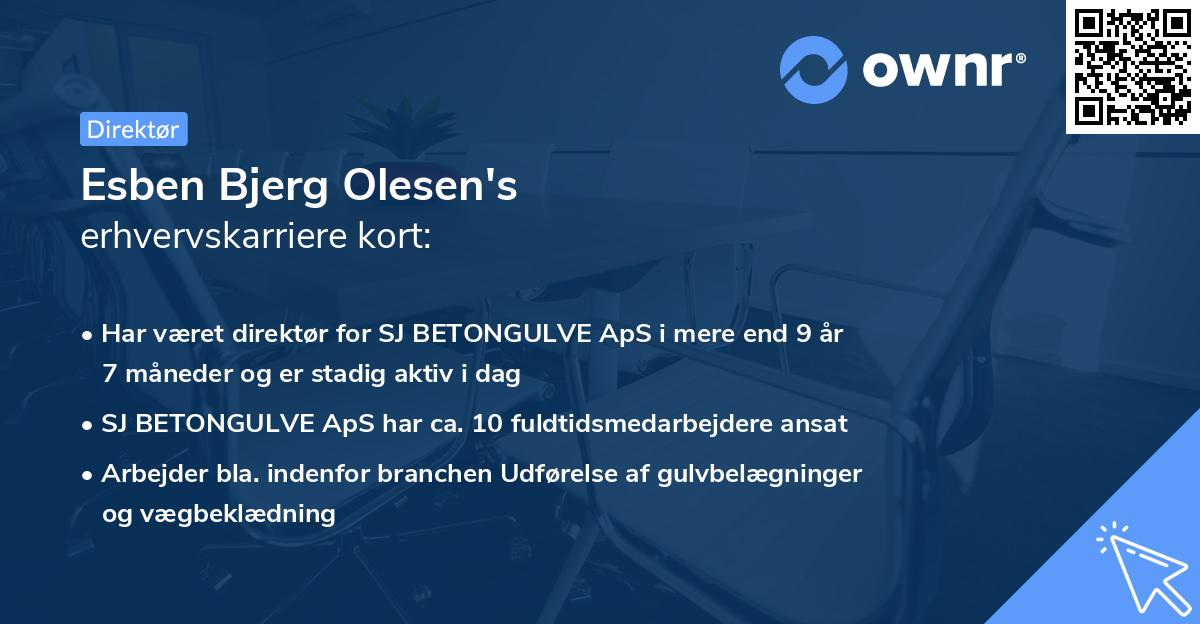 Esben Bjerg Olesen's erhvervskarriere kort