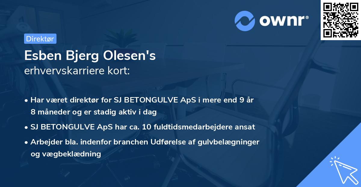 Esben Bjerg Olesen's erhvervskarriere kort