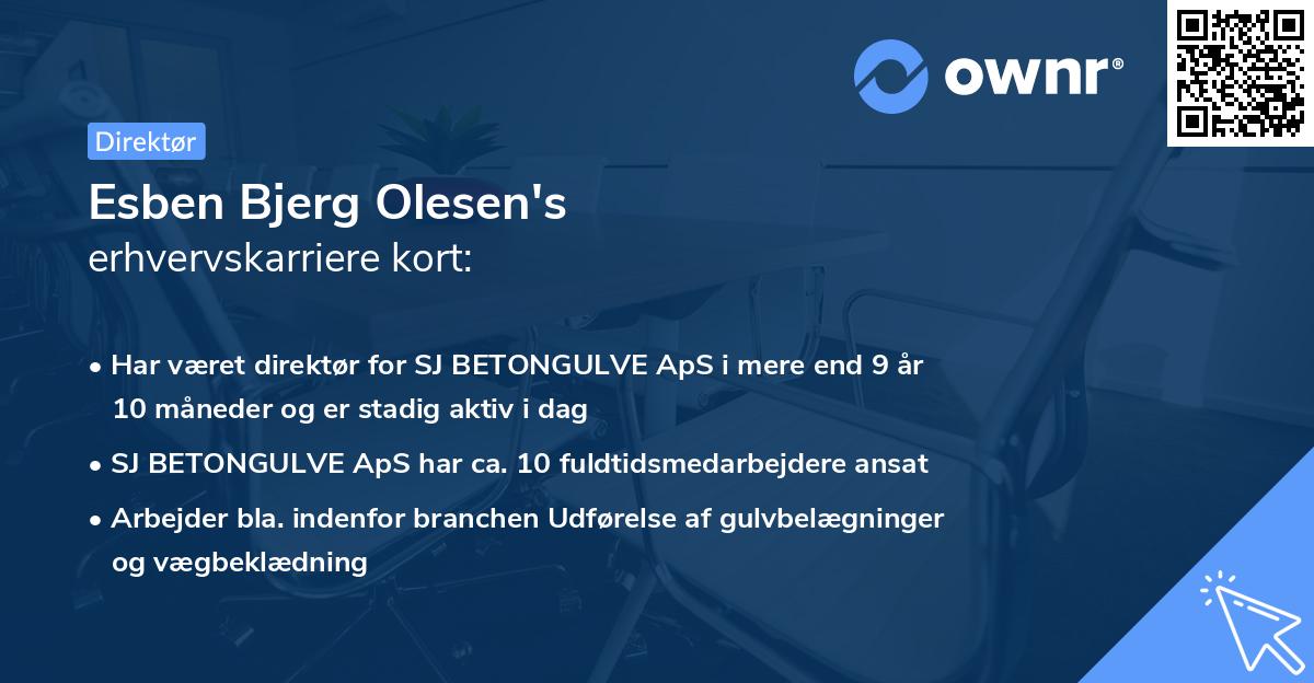 Esben Bjerg Olesen's erhvervskarriere kort