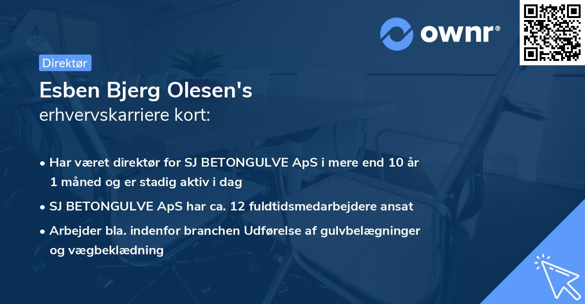 Esben Bjerg Olesen's erhvervskarriere kort