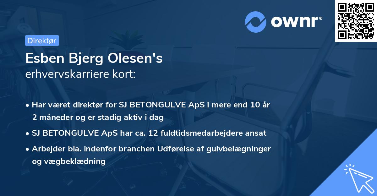 Esben Bjerg Olesen's erhvervskarriere kort