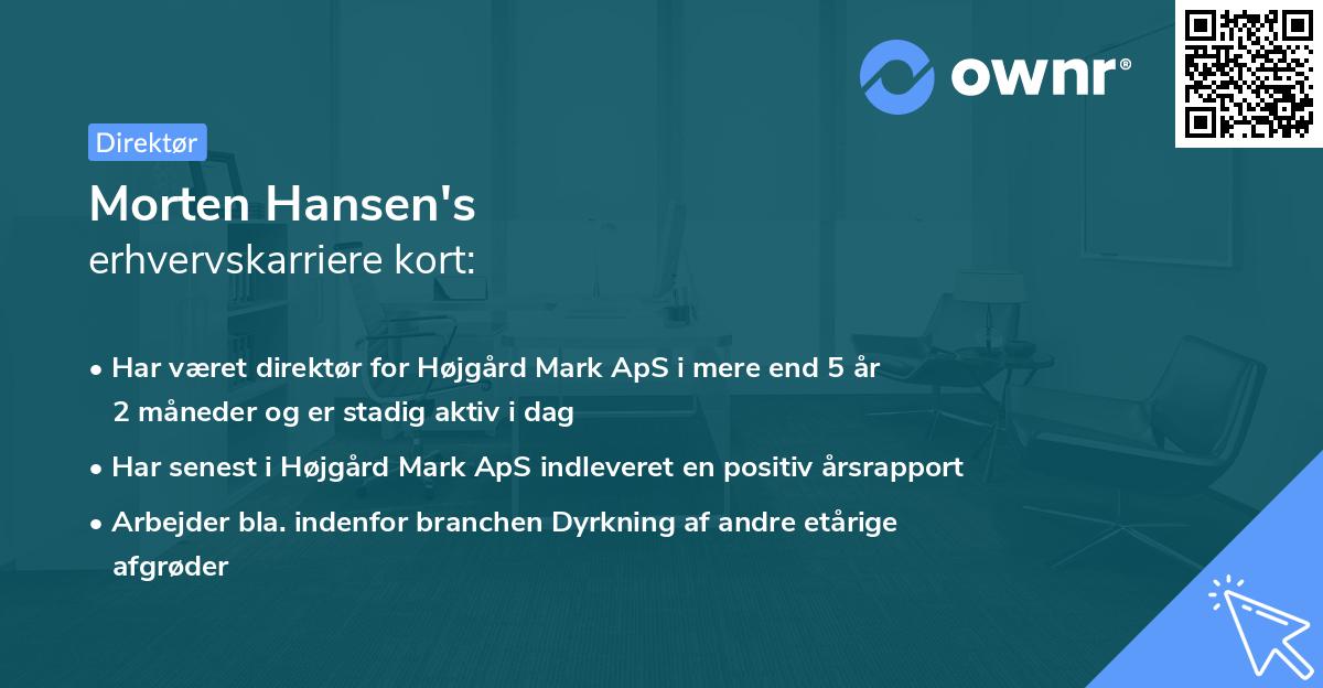 Morten Hansen's erhvervskarriere kort