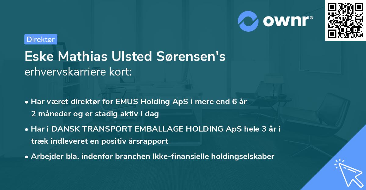 Eske Mathias Ulsted Sørensen's erhvervskarriere kort
