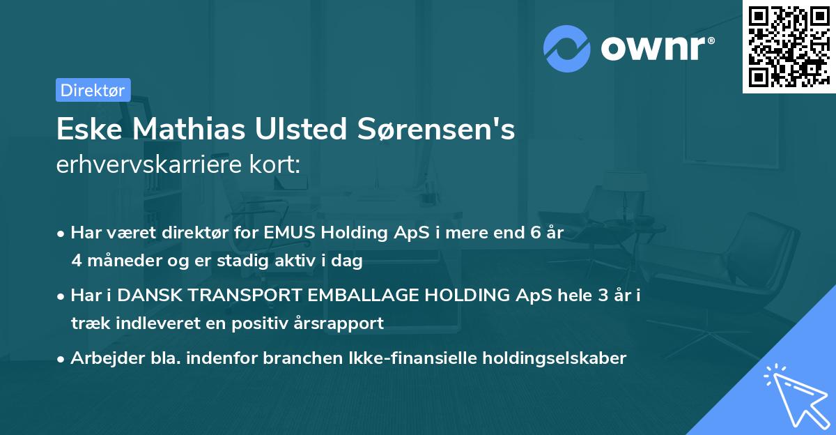 Eske Mathias Ulsted Sørensen's erhvervskarriere kort
