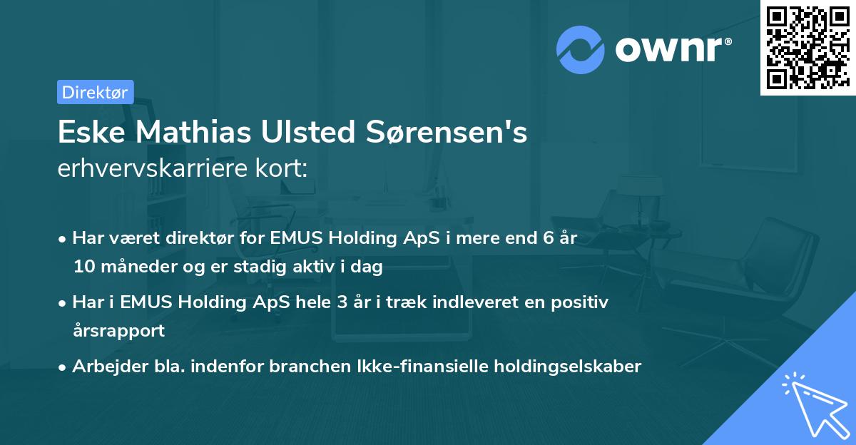 Eske Mathias Ulsted Sørensen's erhvervskarriere kort