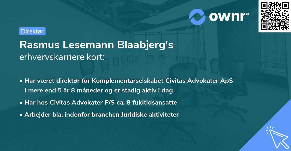 Rasmus Lesemann Blaabjerg's erhvervskarriere kort