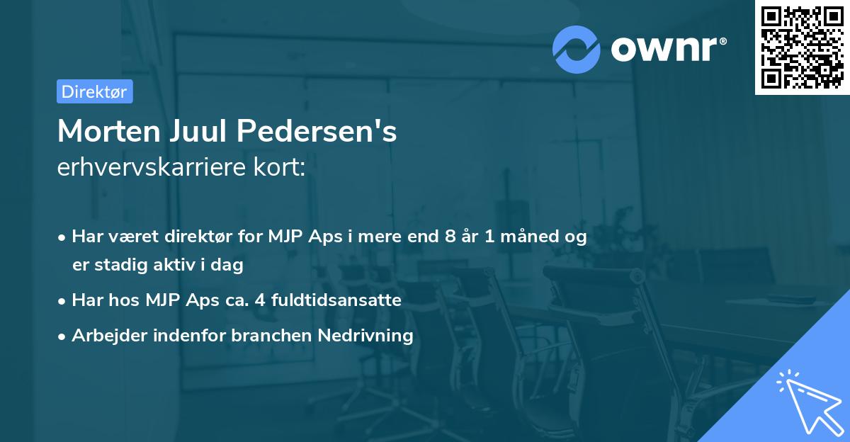 Morten Juul Pedersen's erhvervskarriere kort