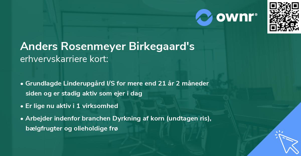 Anders Rosenmeyer Birkegaard's erhvervskarriere kort