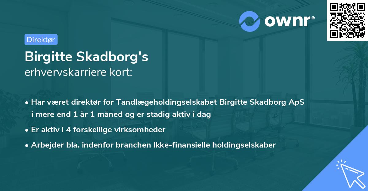 Birgitte Skadborg's erhvervskarriere kort
