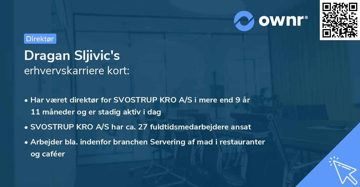 Dragan Sljivic's erhvervskarriere kort