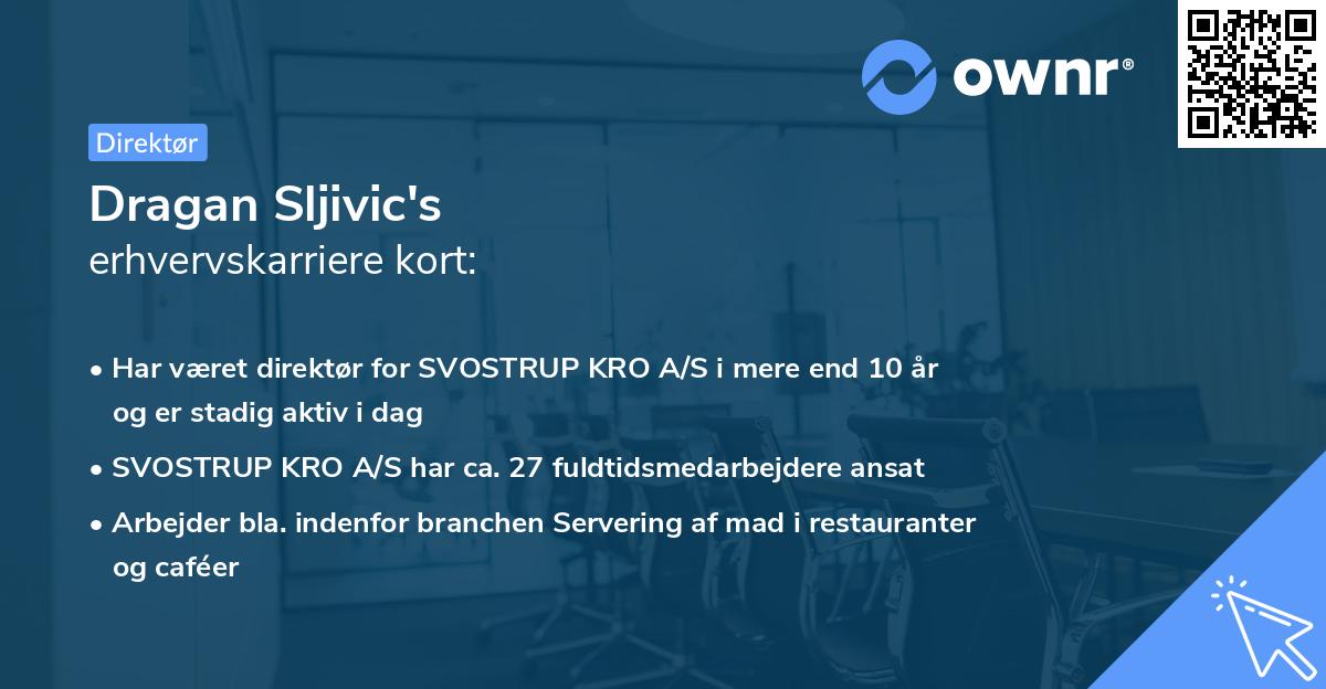 Dragan Sljivic's erhvervskarriere kort