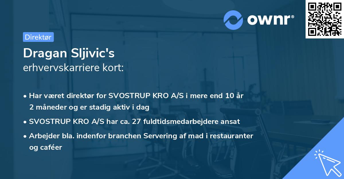 Dragan Sljivic's erhvervskarriere kort